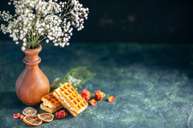 Vue de face de délicieux petits biscuits sur une surface bleu foncé