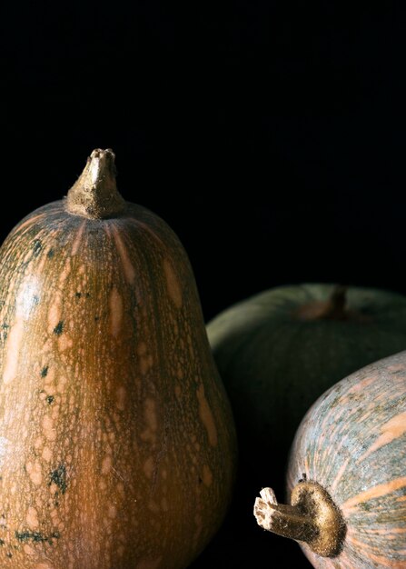 Vue de face de diverses courges d'automne