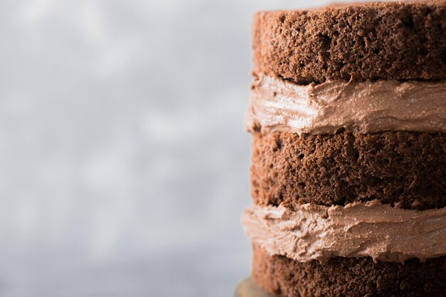 Vue de face du concept de délicieux gâteau au chocolat