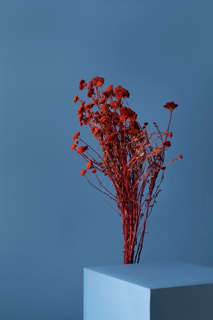 Vue de face du décor de fleurs