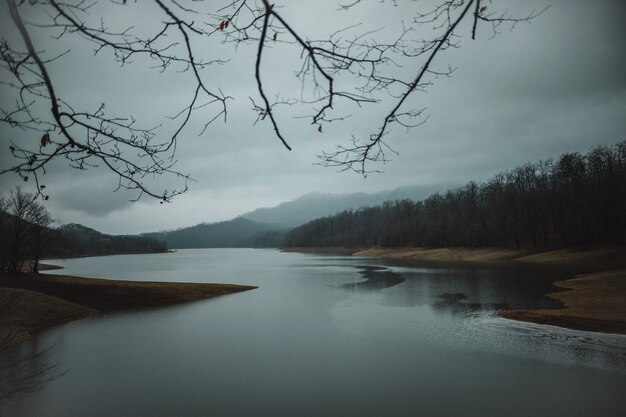 Vue de face du paysage avec des collines d'arbres et une belle rivière