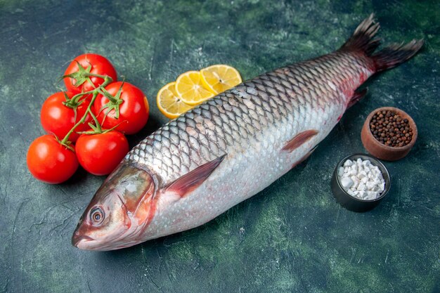 Photo gratuite vue de face du poisson cru frais avec des tomates et des tranches de citron sur la surface bleu foncé requin repas de fruits de mer océan viande dîner horizontal nourriture couleur eau animale