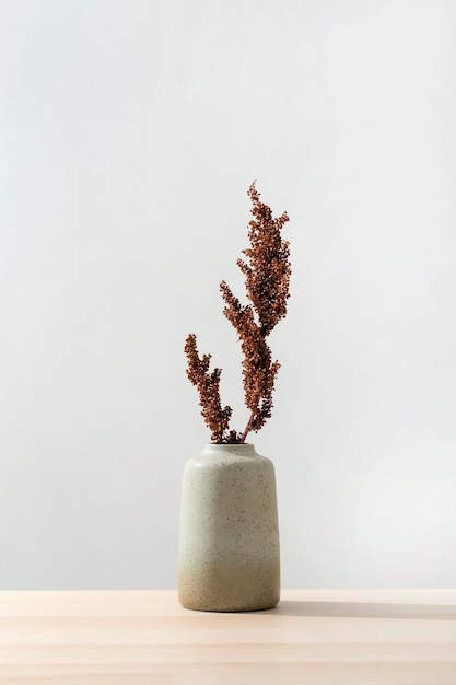 Vue de face du vase avec plante