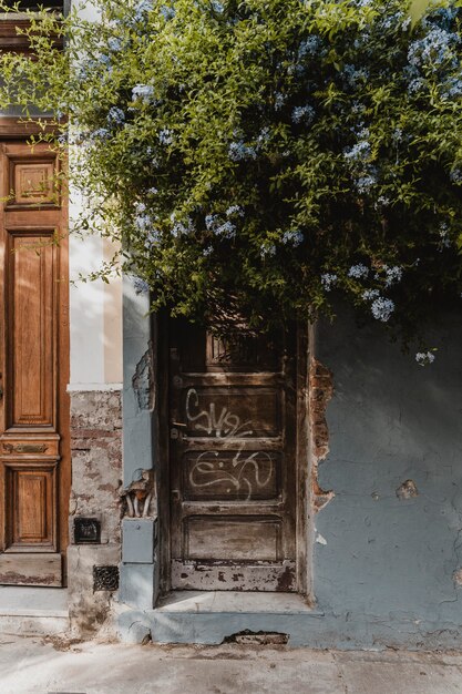 Vue de face de l'entrée de la maison dans la ville avec arbre