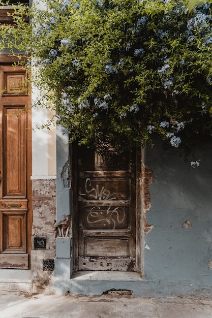 Vue de face de l'entrée de la maison dans la ville avec arbre