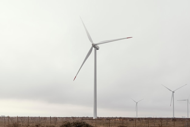 Vue de face des éoliennes sur le terrain