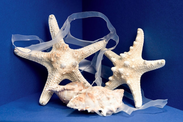 Vue de face de l'étoile de mer en plastique et coquille de mer