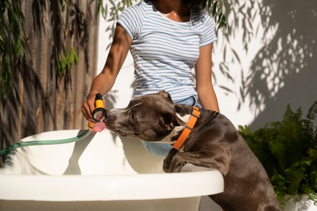 Vue de face femme avec chien mignon