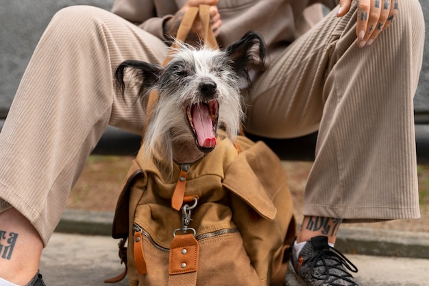 Vue de face femme portant un chiot dans un sac