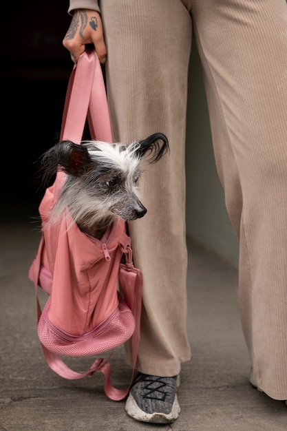 Photo gratuite vue de face femme portant un chiot dans un sac