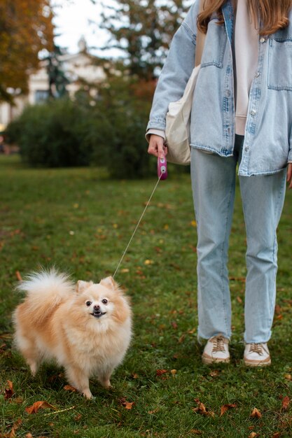 Vue de face fille avec un chien mignon à l'extérieur