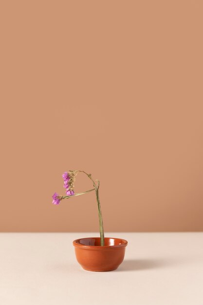 Vue de face de la fleur dans un pot de fleurs avec espace de copie