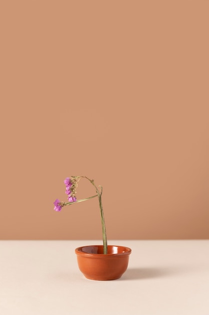 Vue de face de la fleur dans un pot de fleurs avec espace de copie