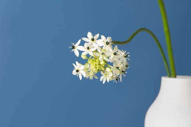 Vue de face de la fleur dans un vase avec espace de copie
