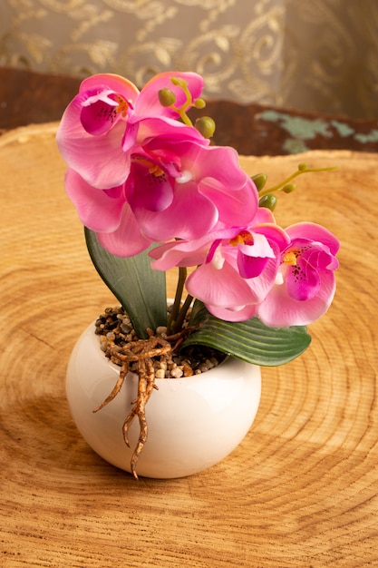 Une vue de face fleur rose à l'intérieur de petit pot blanc sur le bureau brun couleur fleurs nature