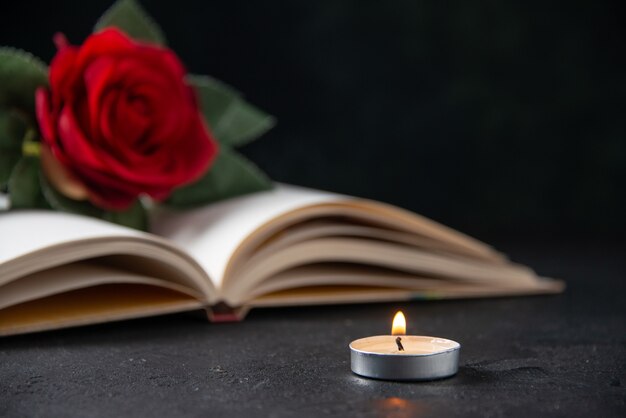 Vue de face de la fleur rouge avec un livre ouvert sur l'obscurité