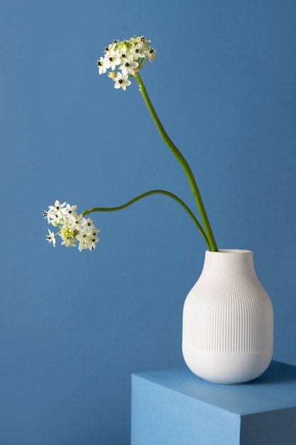 Vue de face de fleurs dans un vase