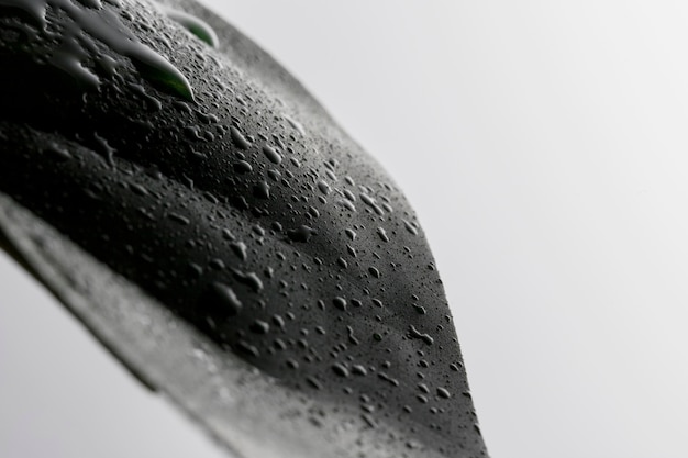 Photo gratuite vue de face de gouttes de liquide clair sur la surface des feuilles