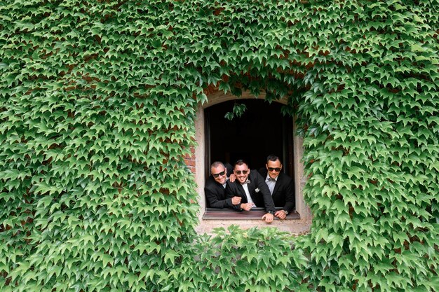 Vue de face d'hommes fous et gais en costumes et lunettes de soleil debout et regardant la caméra depuis la fenêtre ouverte placée dans un mur recouvert d'un feuillage vert luxuriant