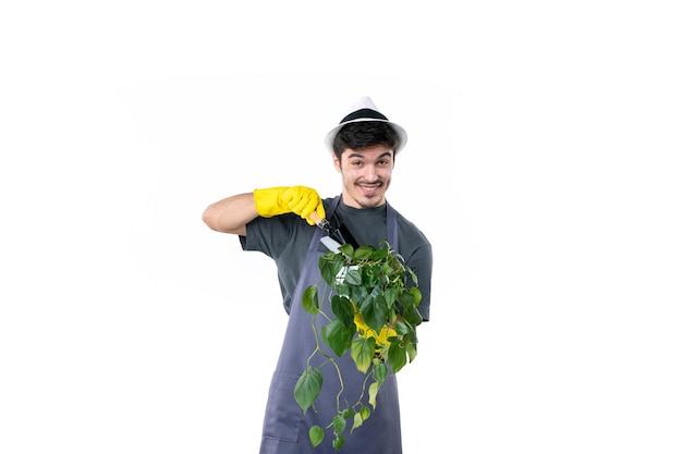 Photo gratuite vue de face jardinier mâle prenant soin après petite plante sur fond blanc travail de fleur d'arbre au sol travail de brousse jardin de couleur