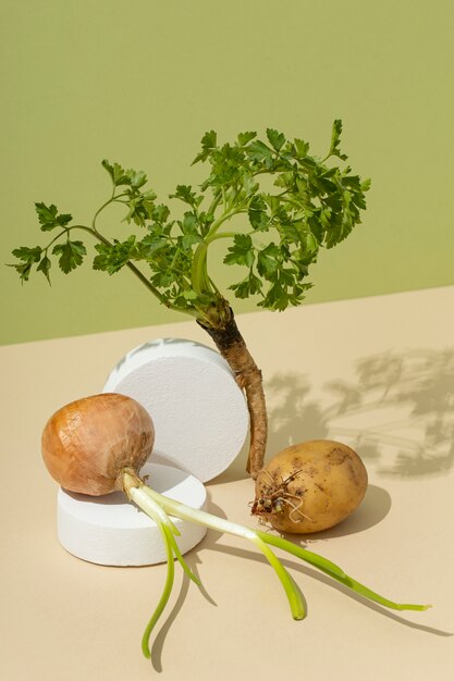 Vue de face des légumes