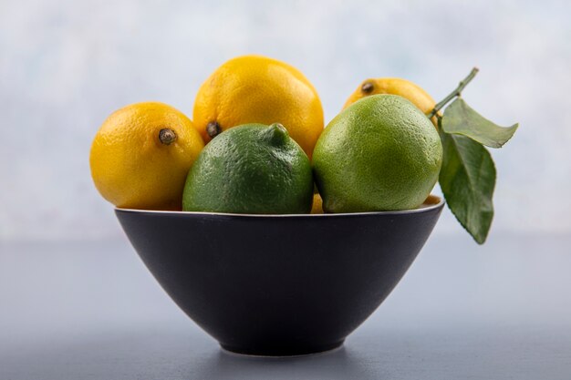 Vue de face limes et citrons dans un bol noir sur fond gris
