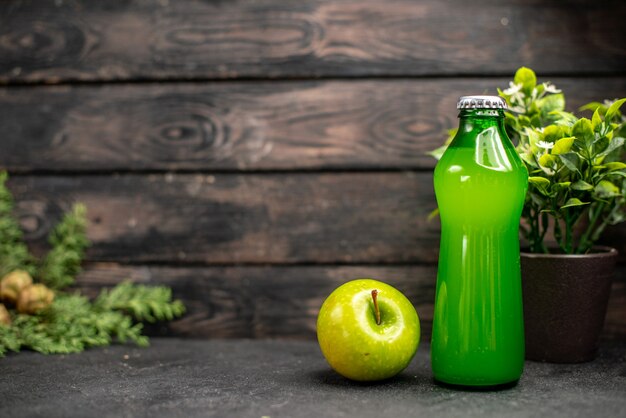 Vue de face limonade aux pommes fraîches en bouteille plante en pot de pomme