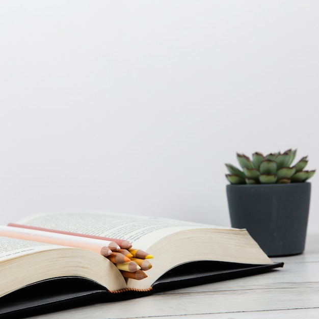 Photo gratuite vue de face d'un livre ouvert sur un fond uni avec espace de copie