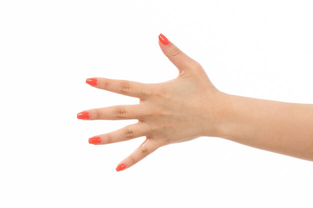 Une vue de face main féminine avec des ongles colorés montrant sa main sur le blanc