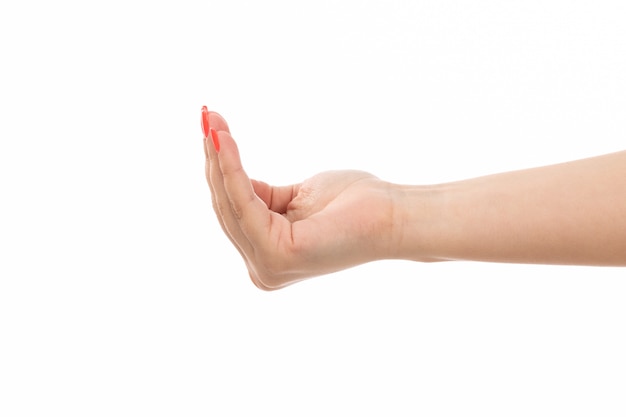 Une vue de face main féminine avec des ongles de couleur paume ouverte sur le blanc