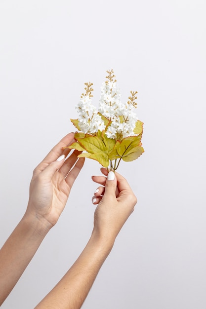 Vue de face des mains tenant des fleurs