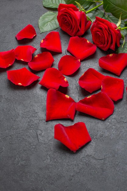 Photo gratuite vue de face pétales de rose rouge pour la saint valentin sur fond sombre couleur sentiment couple coeur passion mariage amour femme
