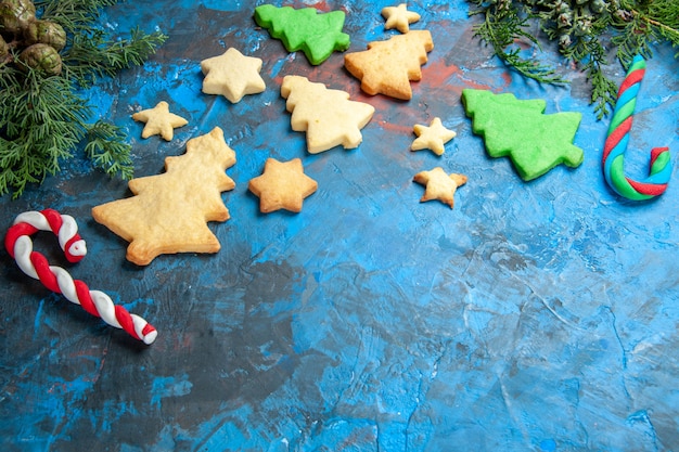 Vue de face de petits arbres sur table bleue