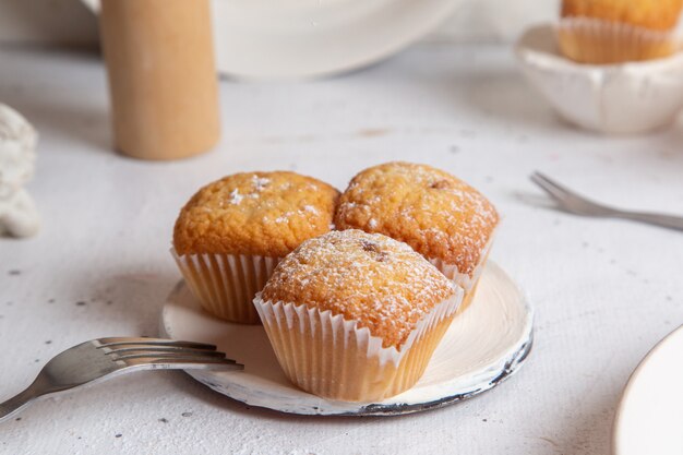 Vue de face de petits gâteaux cuits au four et délicieux sur la surface blanche