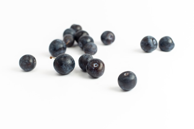 Vue de face de prunellier frais fruits aigres et noirs sur fond blanc fruits frais de jus d'été