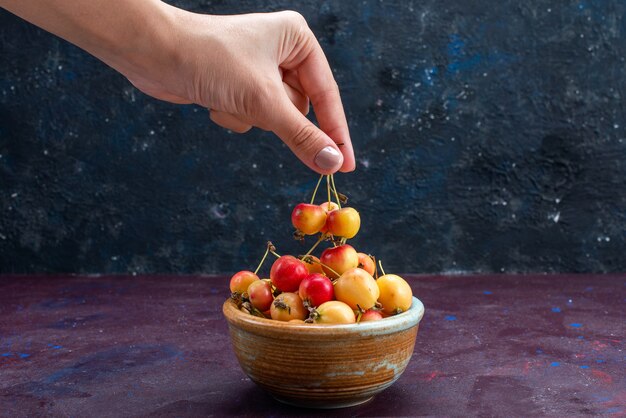 Vue de face des prunes de fruits frais à l'intérieur de la plaque sur la surface sombre