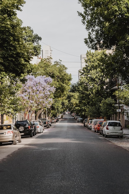 Photo gratuite vue de face de la rue de la ville avec des voitures et des arbres