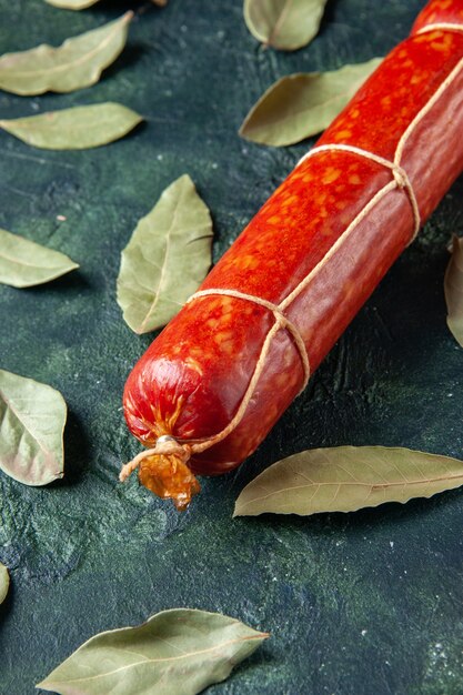 Vue de face de la saucisse fraîche et savoureuse sur du pain de viande bleu foncé en sandwich au pain de couleur un hamburger d'aliments pour animaux