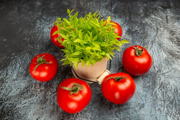 Vue de face tomates fraîches avec plante verte