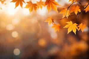 Photo gratuite vue des feuilles d'automne sèches tombées sur le trottoir de la rue