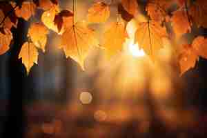 Photo gratuite vue des feuilles d'automne sèches tombées sur le trottoir de la rue