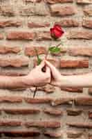 Photo gratuite vue frontale, de, couple, mains, partage, a, rose