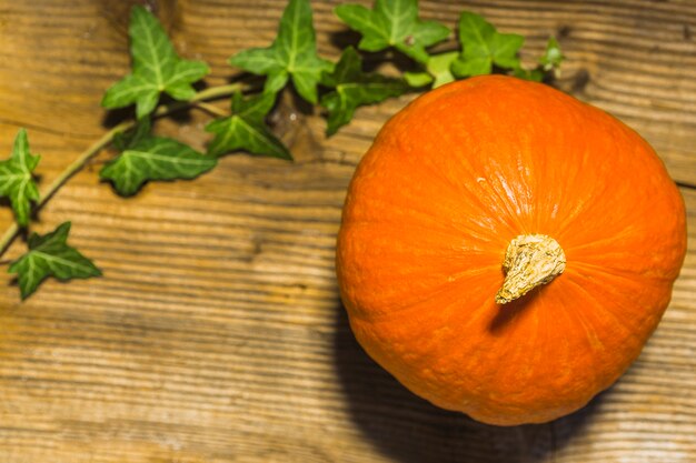 Vue grand angle de la courge sur fond en bois