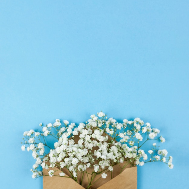 Vue grand angle de fleurs blanches de souffle de bébé avec enveloppe brune sur fond bleu