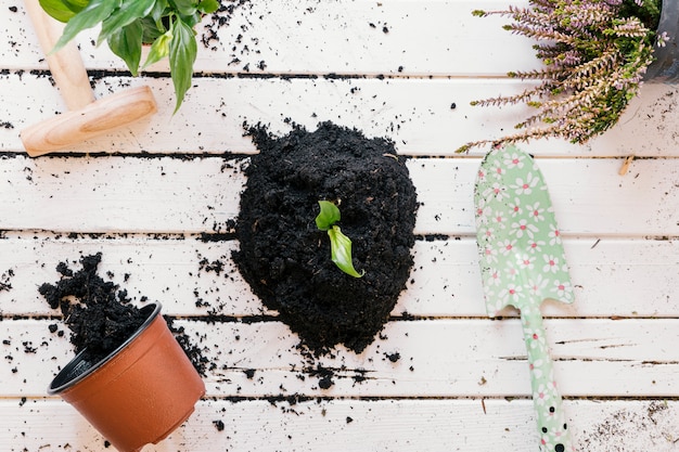 Photo gratuite vue grand angle d'une plante en pot; outils de jardinage avec de la terre sur un banc en bois