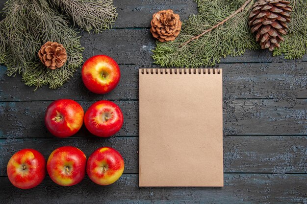 Vue en gros plan des pommes et du cahier et six pommes jaune-rougeâtre sur une surface grise à côté des branches et des cônes d'épinette