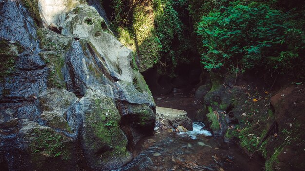 Vue imprenable sur la cascade.