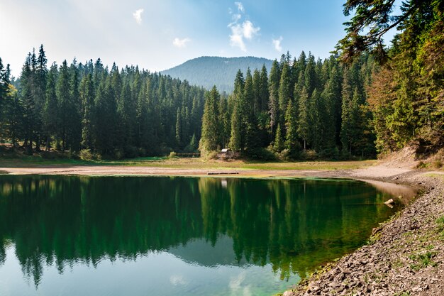 Vue imprenable sur le lac haut dans les Carpates