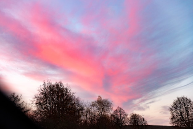 Photo gratuite vue inspirante de la lumière du matin