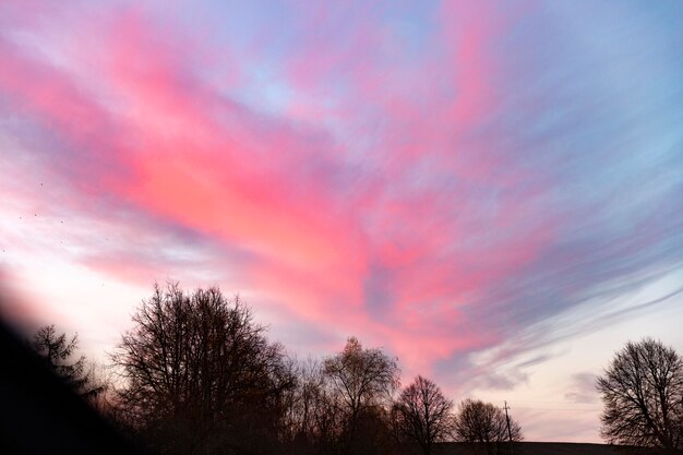 Vue inspirante de la lumière du matin